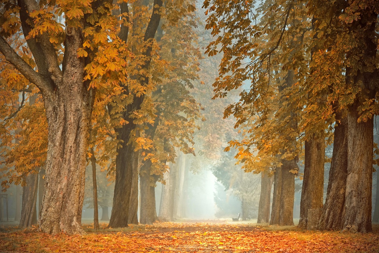 Decoratieve tuindoek met vallende herfstbladeren. Decoratieve tuindoek met vallende herfstbladeren.